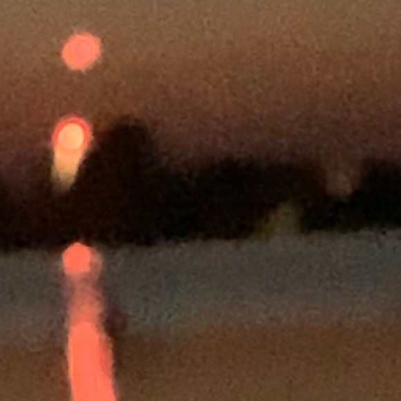 Meet your Posher, Gemma - Picture 1 of 1